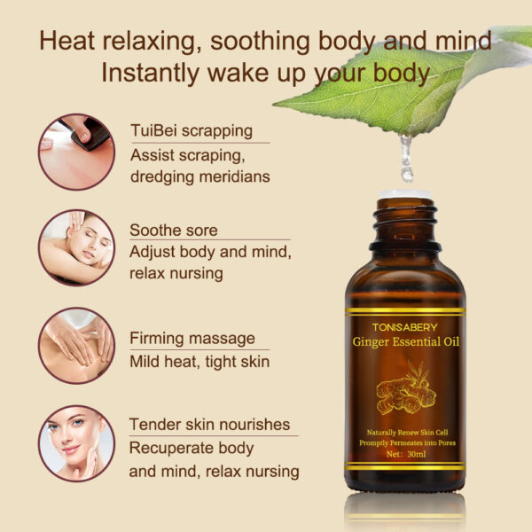 Beauty Skin Care Ginger Massage Essential Oil - Image 6