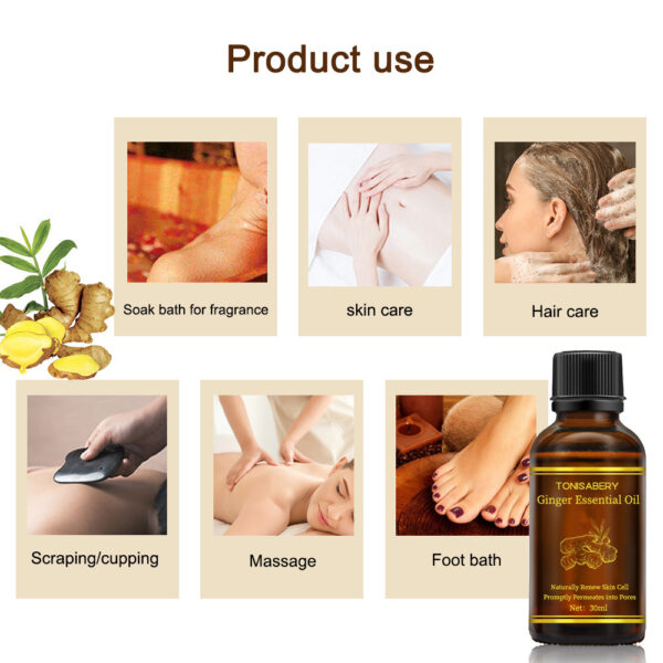 Beauty Skin Care Ginger Massage Essential Oil - Image 2